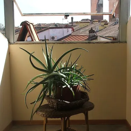 Apartment Bright Loft Via Fillungo *